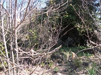 nte Cicirello-10042012 045